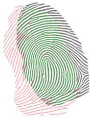 Dense registration of fingerprints