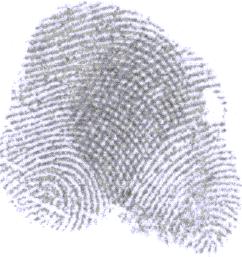 Separating overlapped fingerprints
