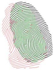 Dense registration of fingerprints