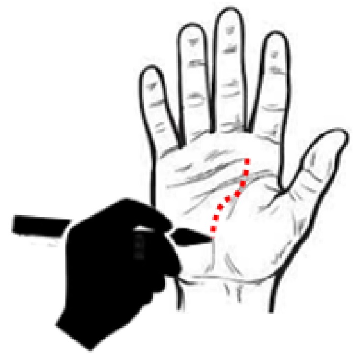 Palm interaction