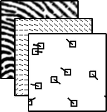 Minutia descriptor