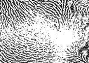 Synthetic palmprint