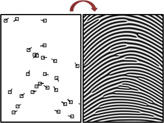 Fingerprint reconstruction