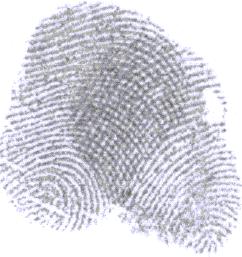 Separating overlapped fingerprints